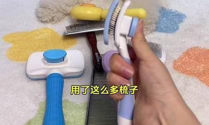 如何选择适合梳理狗毛的梳子（为你的爱犬找到最合适的梳子类型）