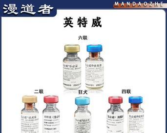 揭秘英特威疫苗丑闻（以假乱真的罪恶真相）