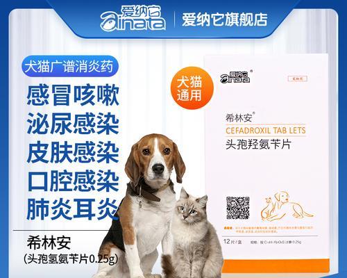 以法牛犬咳嗽的治疗方法（探索有效药物缓解以法牛犬咳嗽的方法）