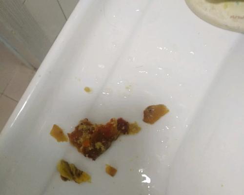 泰迪狗为何频繁呕吐？（探寻泰迪狗呕吐现象的原因与解决方法）