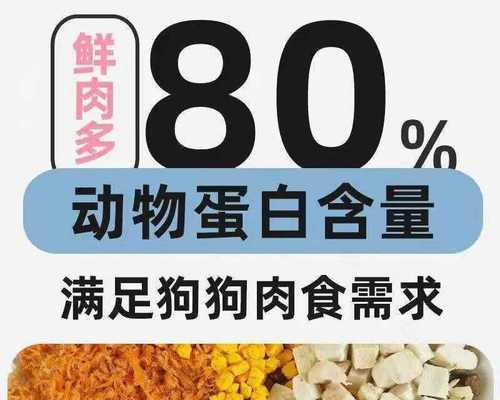 如何科学增肥补钙给泰迪（泰迪养护小贴士与饮食建议）