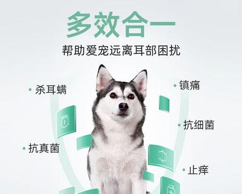 治疗耳螨需谨慎选择药物（了解耳螨治疗所需药物及注意事项）
