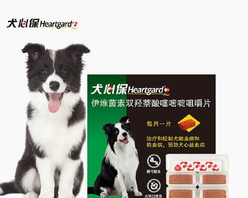 选择狗狗蛔虫药，如何挑选最好的品牌？（了解哪个品牌的狗狗蛔虫药最适合你的宠物）