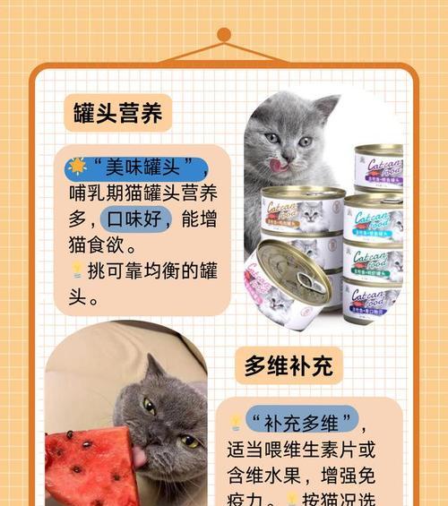 刚出生的小猫可以吃什么？（指南一）