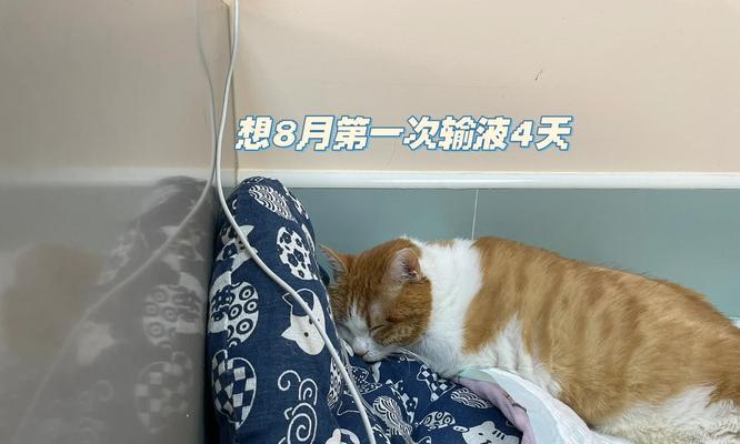 慢性肾衰患者为何选择皮下补液治疗（探究皮下补液在慢性肾衰治疗中的优势与适用范围）
