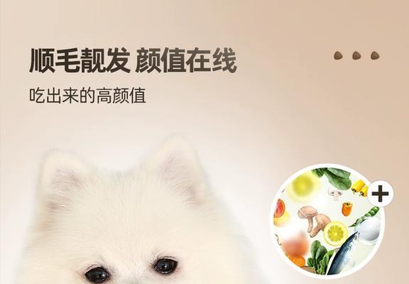 选购幼犬狗粮，为宠物健康提供全方位保障（哪个牌子的幼犬狗粮最适合？）