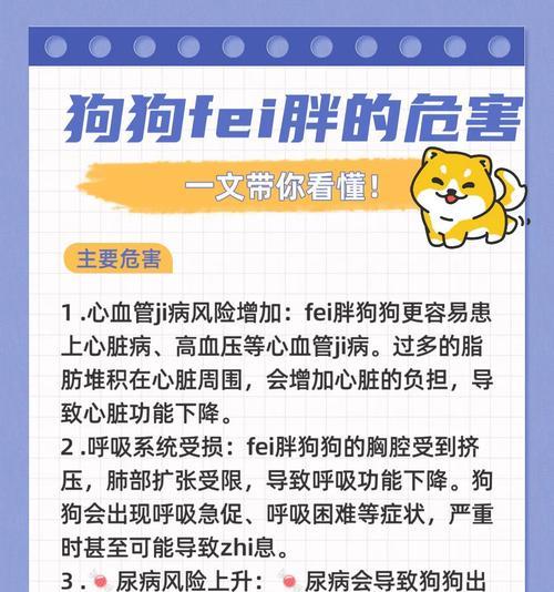 揭秘胖狗的原因——为什么有些狗会变得异常肥胖（探索导致狗狗肥胖的原因，以及如何帮助他们恢复健康）