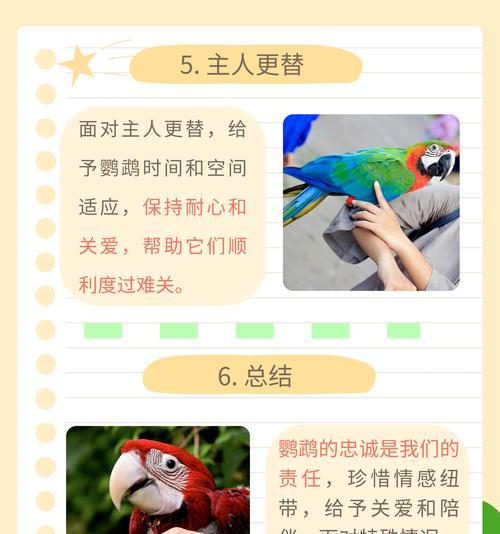 鹦鹉为何喜欢站肩上的原因探析（揭秘鹦鹉站肩上的行为及心理动机）