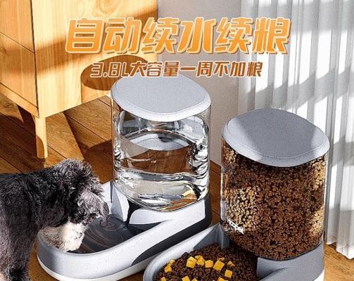 狗狗饮水器的必要性（为你的狗狗提供清洁饮水的关键）