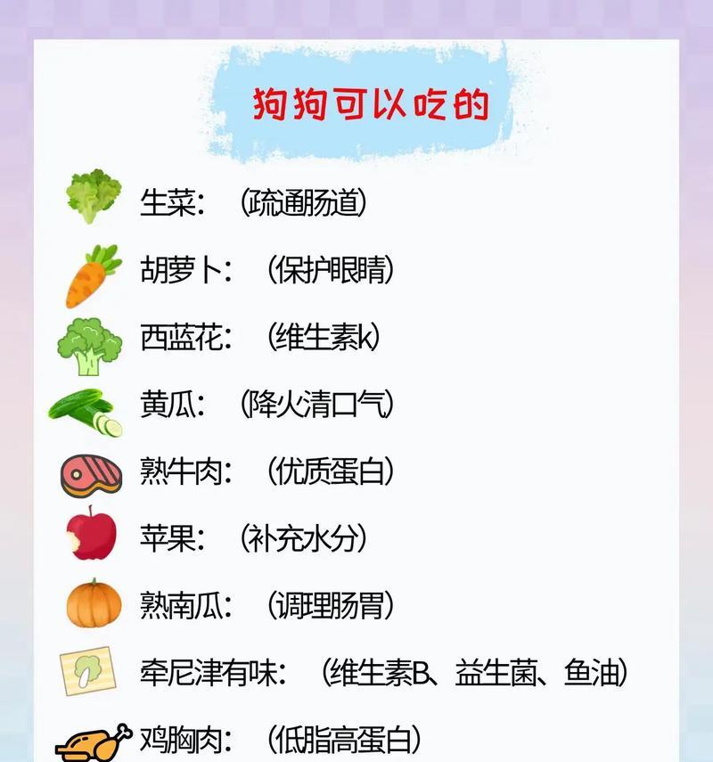 小幼狗的营养需求及适宜食物（为你的小幼狗提供健康的饮食）