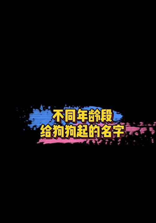 如何为你的狗狗取一个好名字（给狗狗取名，关键在于这一点）