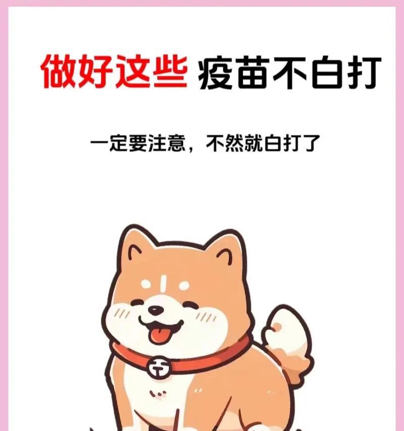 小狗打预防针的重要性（保护宠物狗免受疾病侵袭）