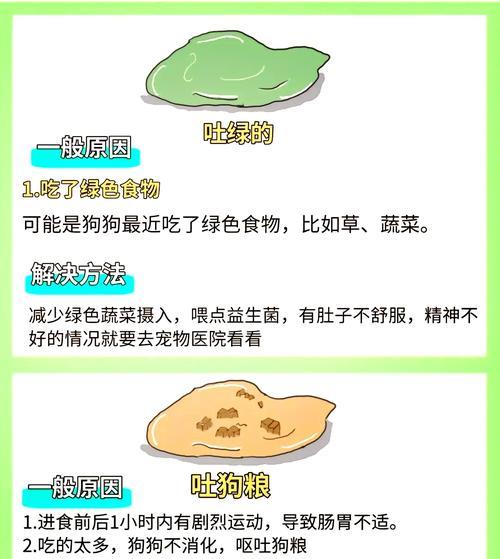 狗为何会呕吐？（探索狗呕吐的原因及解决方法）