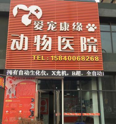 公猫节育的好处（为公猫做节育手术，让它们健康快乐生活）