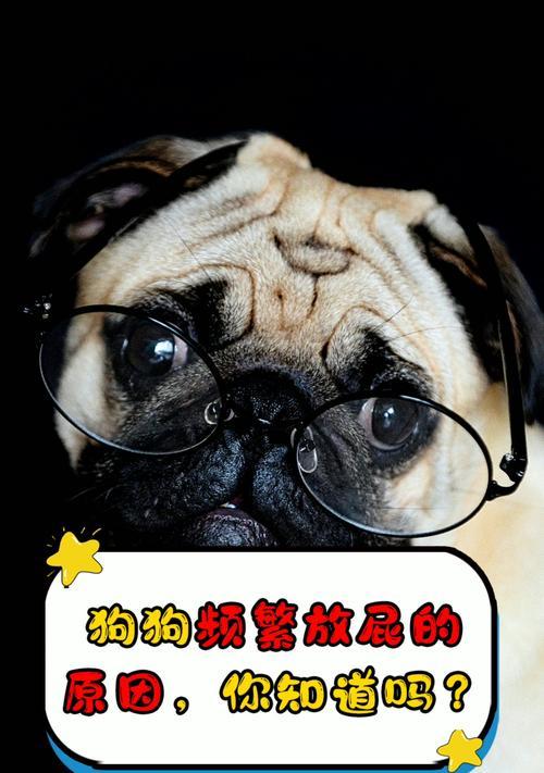揭秘狗狗为什么老放屁的原因（了解狗狗排气行为，为它们的健康着想）