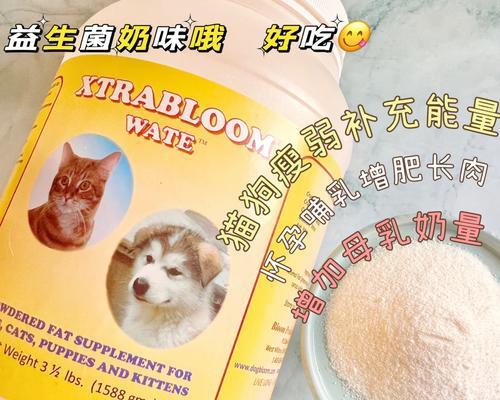 如何科学合理地为狗增肥（选择适宜的食物和注意事项）