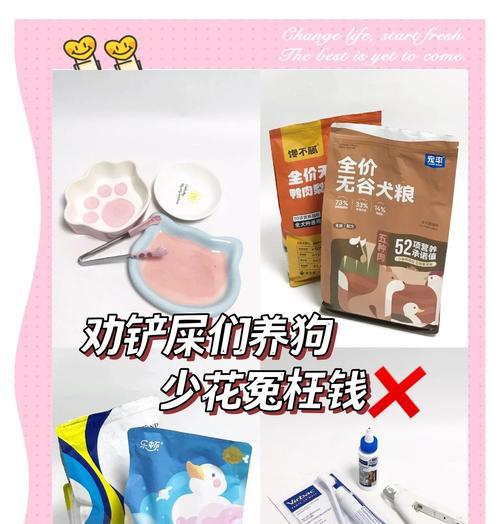 养犬必备用品，打造幸福家庭（以家庭养犬需要准备哪些用品？一文了解全部！）