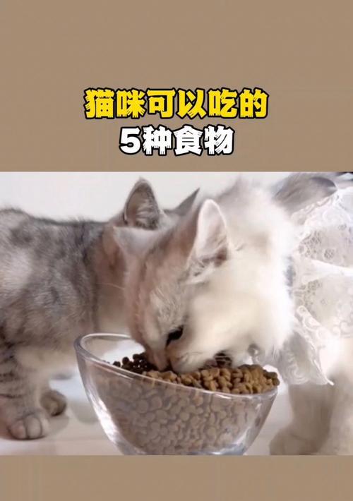猫咪的饮食（了解猫咪可食用的食物及其营养需求，让你的猫咪健康快乐。）