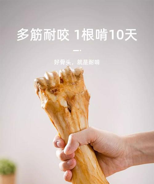 狗狗的磨牙骨头频率是多久一次？（磨牙骨头对狗狗口腔健康的重要性）