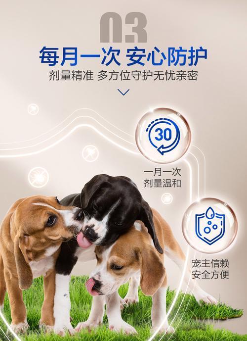 以犬心保的保质期探讨——延长食品保质期的关键（揭秘食品保质期的真相与延长策略）