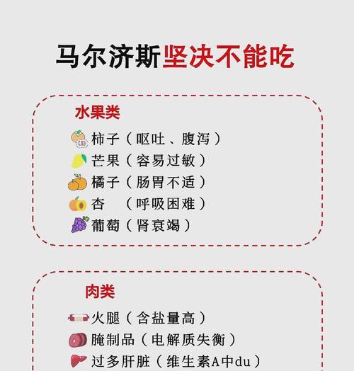 吃东西后多久才会呕吐？（揭秘食物在胃中的消化过程与呕吐时间）