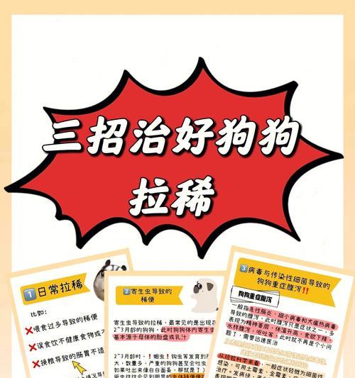 小狗换肠子的特征及意义（探索小狗换肠子的可行性及医疗突破）