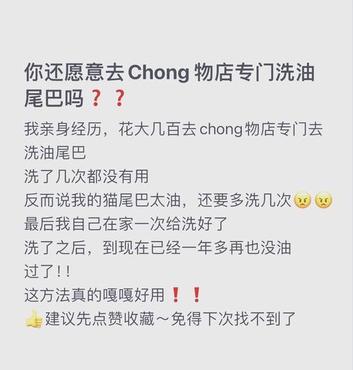 省钱提升猫咪生活品质的小妙招（如何在预算有限的情况下给猫咪带来更好的生活）