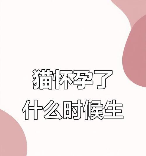 母猫怀孕多久会生？（探秘母猫妊娠周期及生产过程）