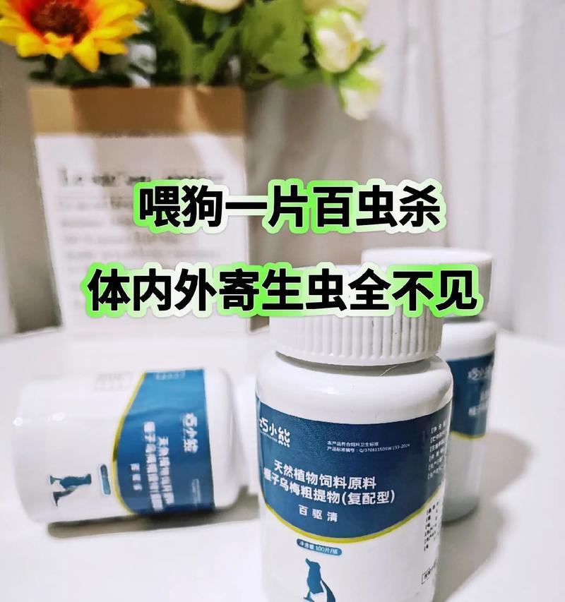 养狗狗必知的驱虫疫苗经验（健康宠物的关键——驱虫疫苗）