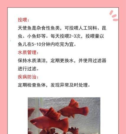 小鱼缸换水周期及注意事项（正确的水质管理，让小鱼健康成长）