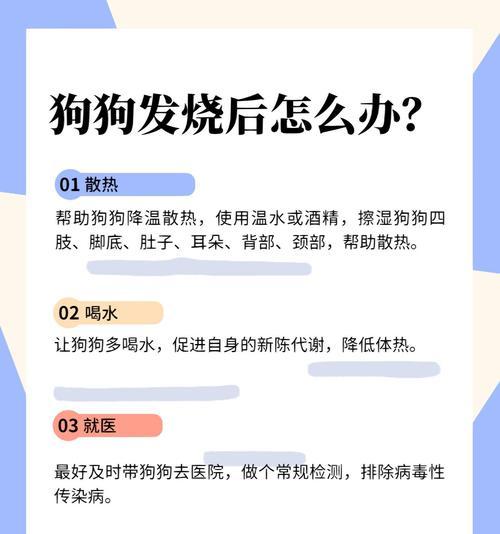 如何给狗狗降温？——科学应对狗狗怕热的表现（15个常见狗狗怕热的表现及相应降温方法）