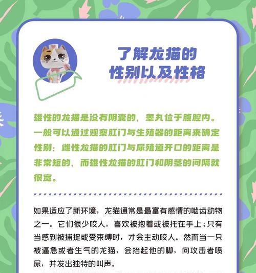 龙猫生后多久配是合适的？（了解龙猫的繁殖周期与最佳配对时间）