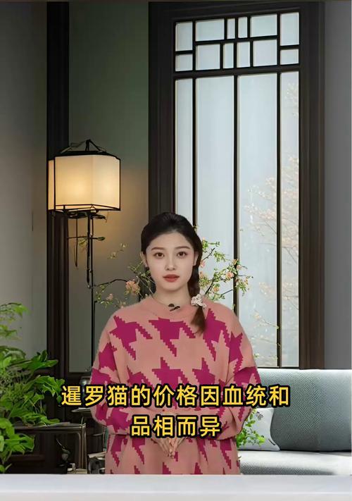 暹罗猫市场价格揭秘（暹罗猫多少钱一只？了解暹罗猫的市场行情）