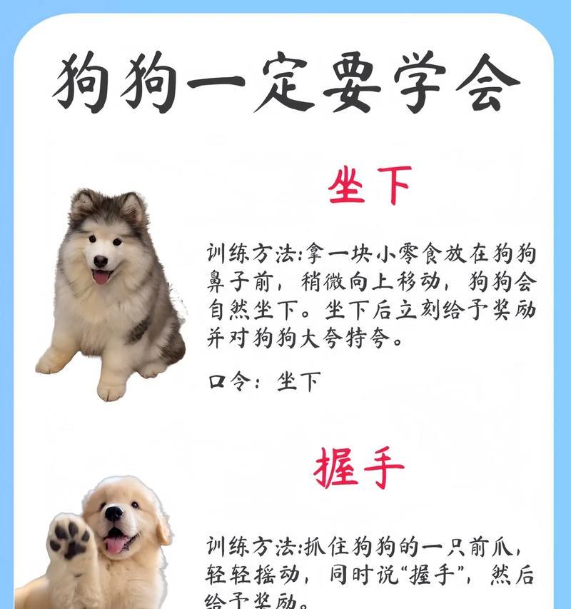 解密以尴尬期狗狗多久（探寻尴尬期狗狗的成长之路）