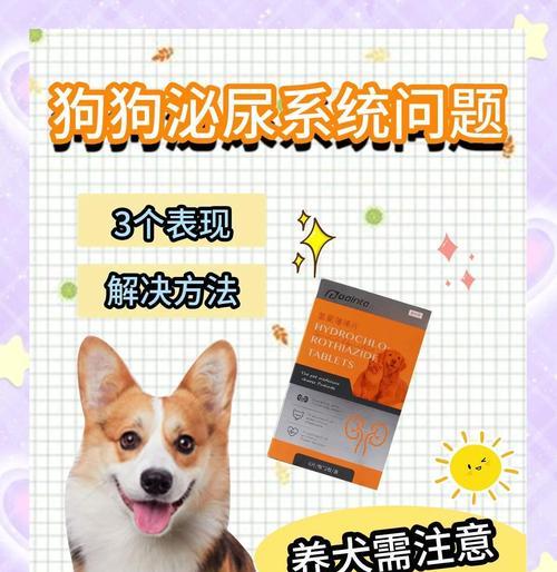 狗狗突然大量喝水的原因及注意事项（了解为什么狗狗突然大量喝水，为宠物的健康着想）