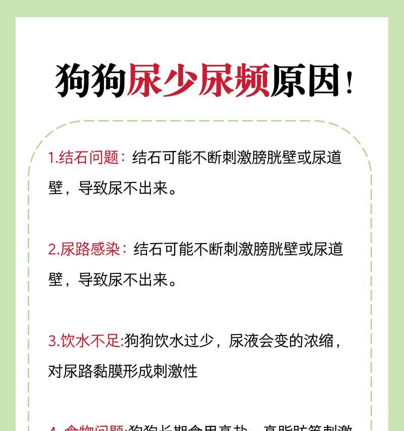 狗狗尿液很黄？解决方法一览（发现狗狗尿液异常黄色，快来找找解决方案吧！）