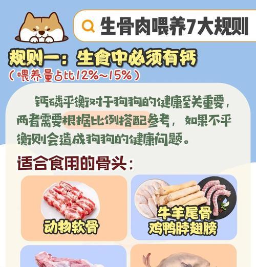 小狗何时可以开始吃骨头？（了解小狗骨头饮食的最佳时间和注意事项）