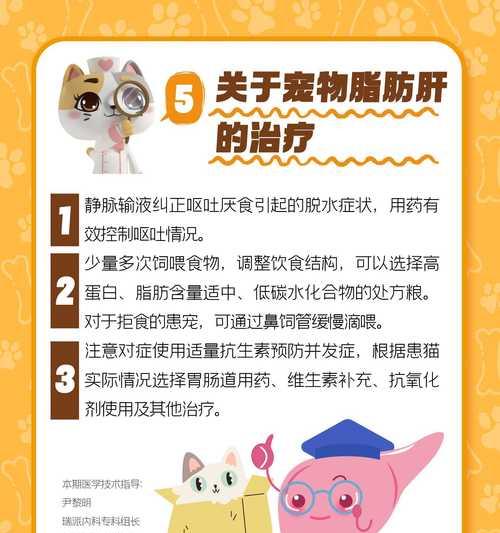 猫脂肪肝（了解治愈猫脂肪肝所需的时间和关键措施）