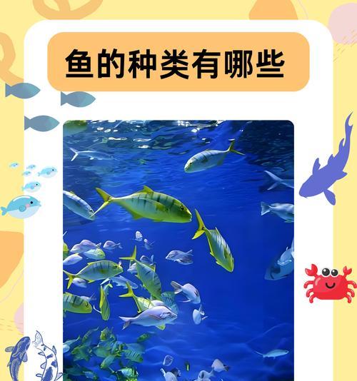 世界上常见的以养鱼种类大揭秘（了解不同种类的以养鱼，打造多彩水族世界）