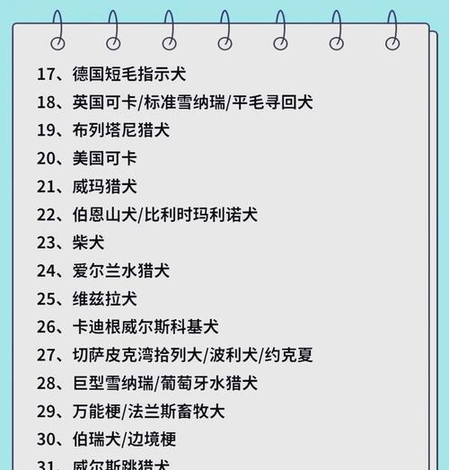 狗狗年龄表揭示宠物年龄之谜（了解狗狗的年龄如何与人类相对应，让你更好地照顾你的毛茸伙伴）