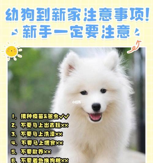 成年狗适合到新家洗澡的时间？