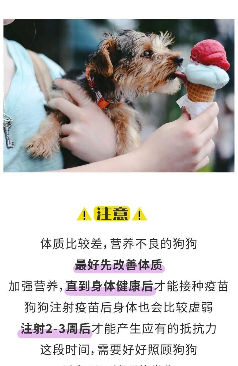 如何确定给狗狗打虫的最佳时间？（宠物狗打虫的关键时机和注意事项）