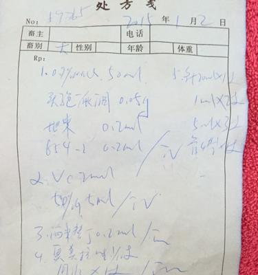 小狗肠炎的禁食禁水时间及注意事项（了解小狗肠炎的禁食禁水时间以及如何正确处理，保障宠物的健康）
