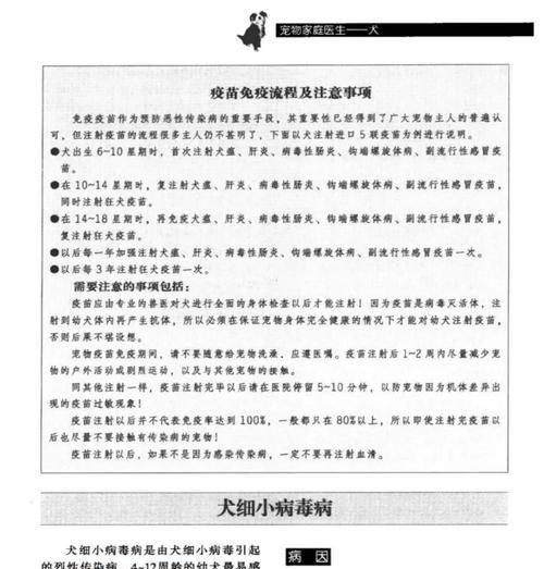 细小病毒治疗的关键因素（探索有效治疗细小病毒的方法及时长）