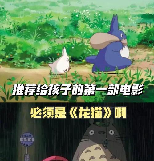 龙猫回家后的放风时间安排（龙猫适应新环境需要一段时间，逐步放风很重要）