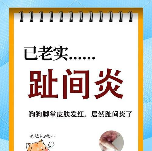 狗狗趾间炎的危害及防治措施（揭秘狗狗趾间炎的危害和预防方法）