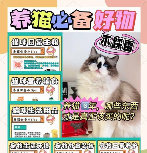 喂猫，一门科学的艺术（手把手教你科学投喂猫咪，让它健康快乐成长）