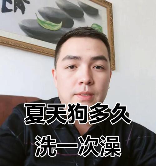 小狗洗澡的最佳频率和注意事项（照顾小狗健康，科学洗澡是关键）