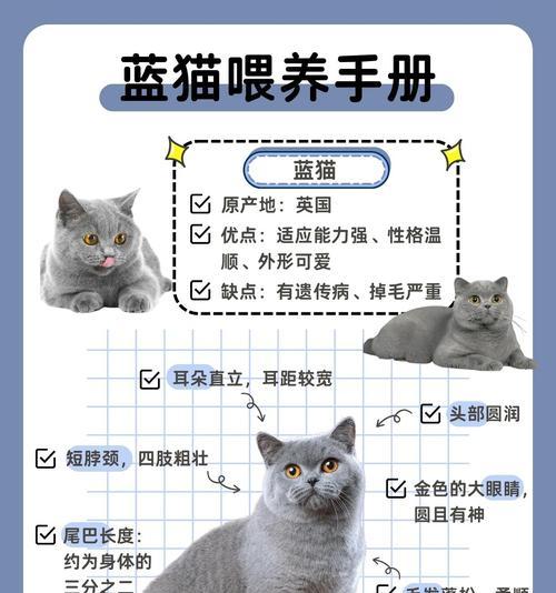 英短成年需要多长时间？（猫咪成年前后的关键发育期和特征）