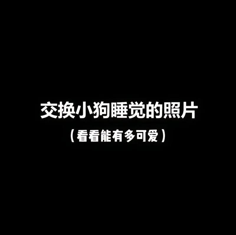 博美犬睡眠时间揭秘（探究博美犬睡眠规律及重要性）